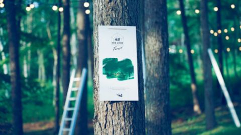 識日文可申請！日本H&M公開招募「試衫員」 森林免費任試秋季新裝，試啱送畀你！